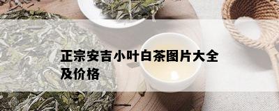 正宗安吉小叶白茶图片大全及价格