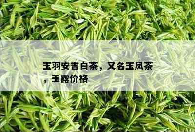 玉羽安吉白茶，又名玉凤茶，玉露价格