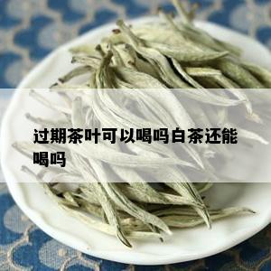 过期茶叶可以喝吗白茶还能喝吗