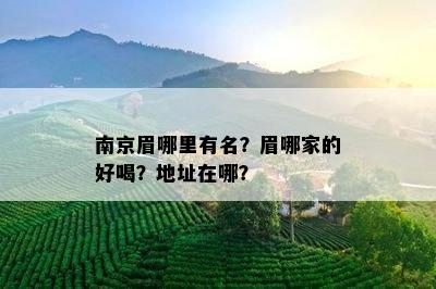 南京眉哪里有名？眉哪家的好喝？地址在哪？