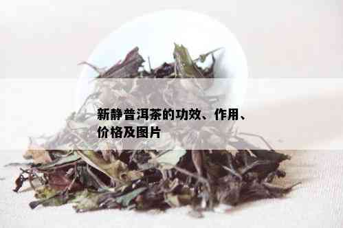 新静普洱茶的功效、作用、价格及图片