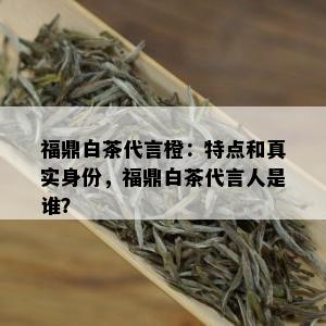 福鼎白茶代言橙：特点和真实身份，福鼎白茶代言人是谁？