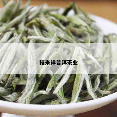 福来祥普洱茶业