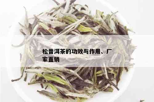 松普洱茶的功效与作用、厂家直销