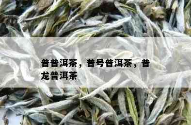 普普洱茶，普号普洱茶，普龙普洱茶