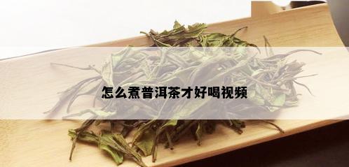 怎么煮普洱茶才好喝视频