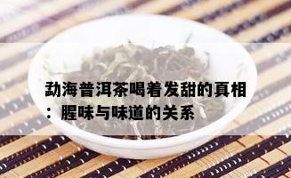 勐海普洱茶喝着发甜的真相：腥味与味道的关系