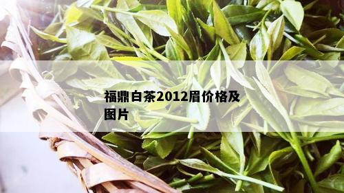 福鼎白茶2012眉价格及图片