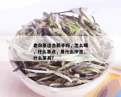 老白茶适合新手吗，怎么喝，什么茶点，用什么冲泡，什么茶具？