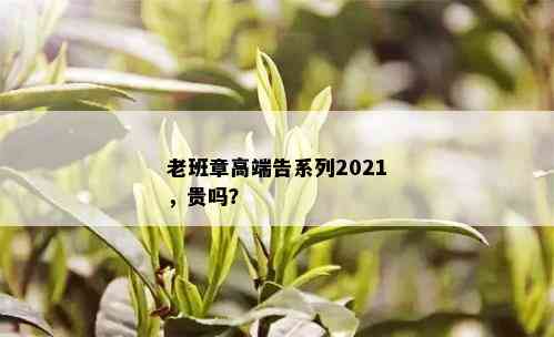 老班章高端告系列2021，贵吗？