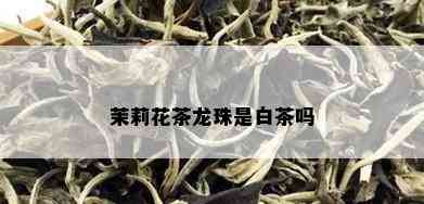 茉莉花茶龙珠是白茶吗