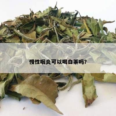 慢性咽炎可以喝白茶吗？