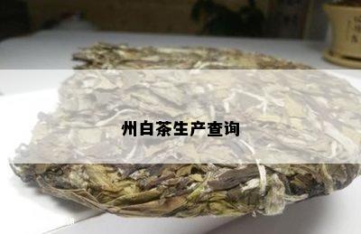 州白茶生产查询