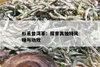 杉禾普洱茶：探索其独特风味与功效