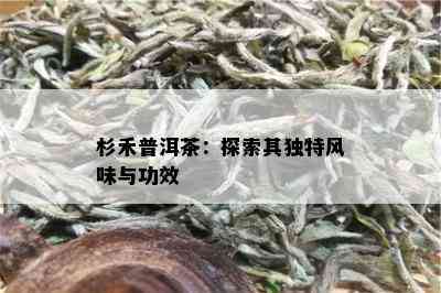 杉禾普洱茶：探索其独特风味与功效