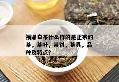 福鼎白茶什么样的是正宗的茶，茶叶，茶饼，茶具，品种及特点？