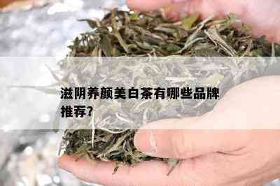 滋阴养颜美白茶有哪些品牌推荐？