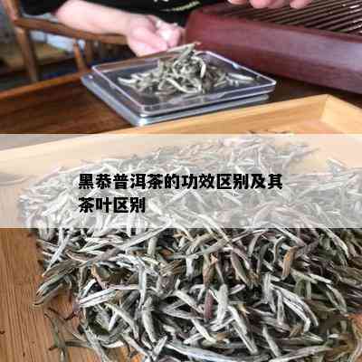 黑恭普洱茶的功效区别及其茶叶区别