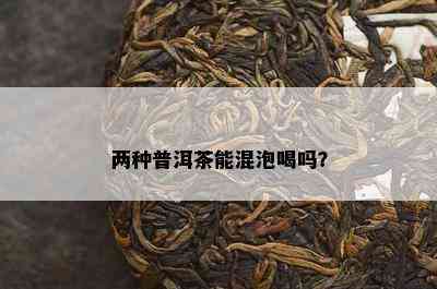 两种普洱茶能混泡喝吗？