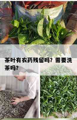 茶叶有农残留吗？需要洗茶吗？