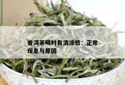 普洱茶喝时有清凉感：正常现象与原因