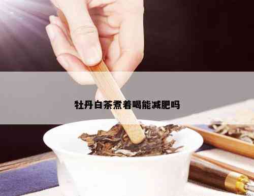 牡丹白茶煮着喝能减肥吗