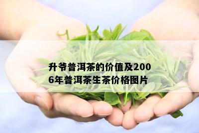 升爷普洱茶的价值及2006年普洱茶生茶价格图片