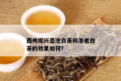 西州坭兴壶泡白茶和泡老白茶的效果如何？