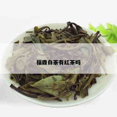 福鼎白茶有红茶吗