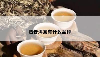 熟普洱茶有什么品种