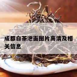 成都白茶泡面图片高清及相关信息