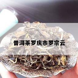 普洱茶罗庆市罗宗云