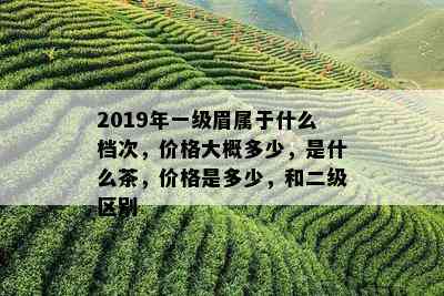 2019年一级眉属于什么档次，价格大概多少，是什么茶，价格是多少，和二级区别