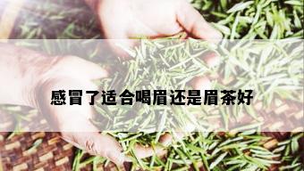 感冒了适合喝眉还是眉茶好