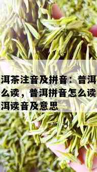 普洱茶注音及拼音：普洱茶怎么读，普洱拼音怎么读，普洱读音及意思