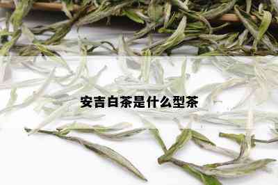 安吉白茶是什么型茶