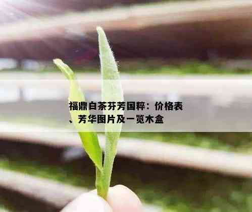 福鼎白茶芬芳国粹：价格表、芳华图片及一览木盒