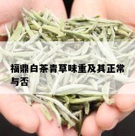 福鼎白茶青草味重及其正常与否