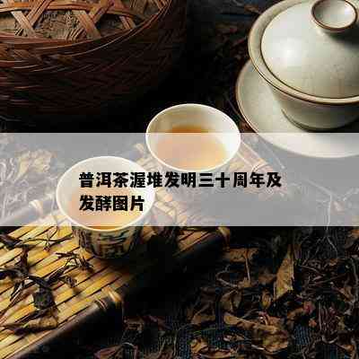 普洱茶渥堆发明三十周年及发酵图片