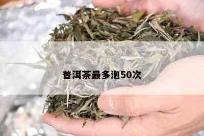 普洱茶最多泡50次