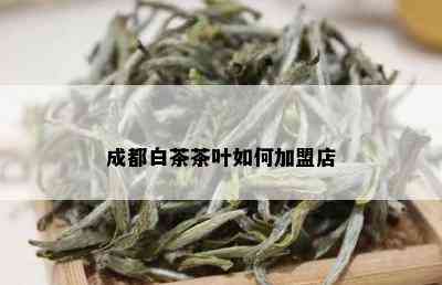 成都白茶茶叶如何加盟店