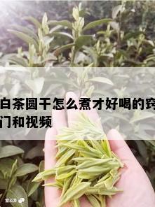 白茶圆干怎么煮才好喝的窍门和视频