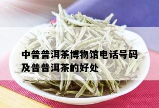 中普普洱茶博物馆电话号码及普普洱茶的好处