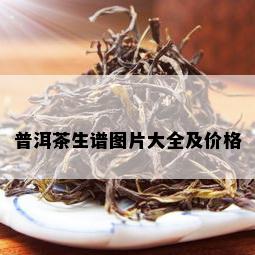 普洱茶生谱图片大全及价格