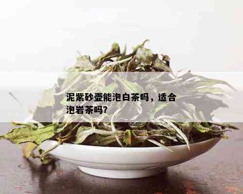 泥紫砂壶能泡白茶吗，适合泡岩茶吗？