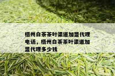 梧州白茶茶叶渠道加盟代理电话，梧州白茶茶叶渠道加盟代理多少钱