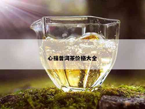 心福普洱茶价格大全