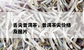 舌尖普洱茶，普洱茶尖价格及图片