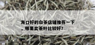 海口好的白茶店铺推荐一下，哪里卖茶叶比较好？