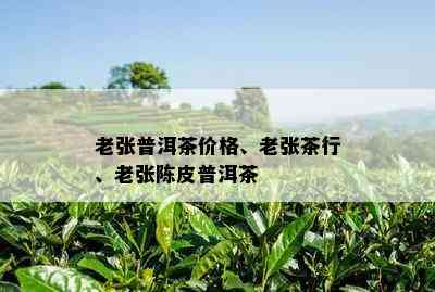 老张普洱茶价格、老张茶行、老张陈皮普洱茶